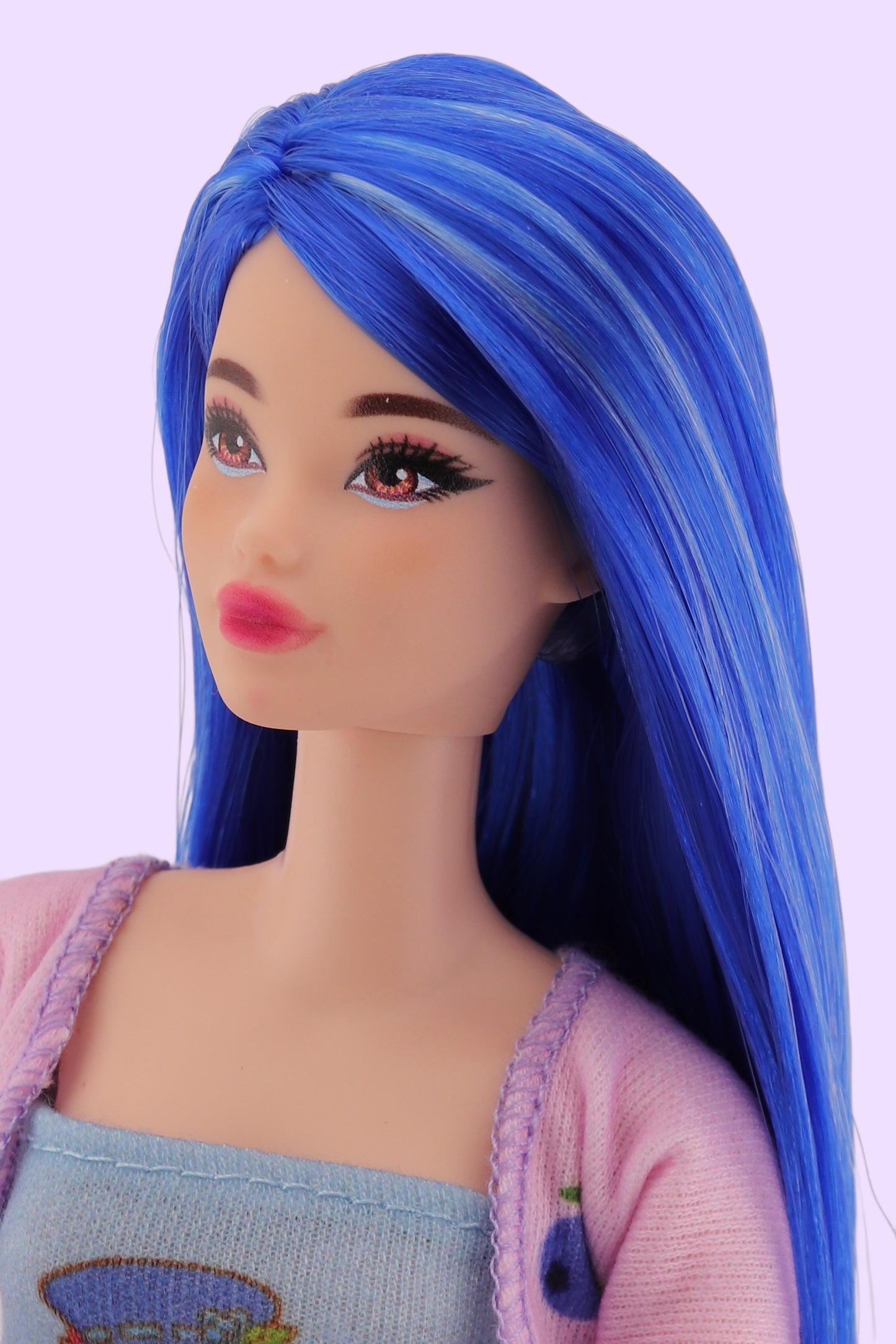 Blueberry Muffin Strawberry Shortcake Custom Barbie