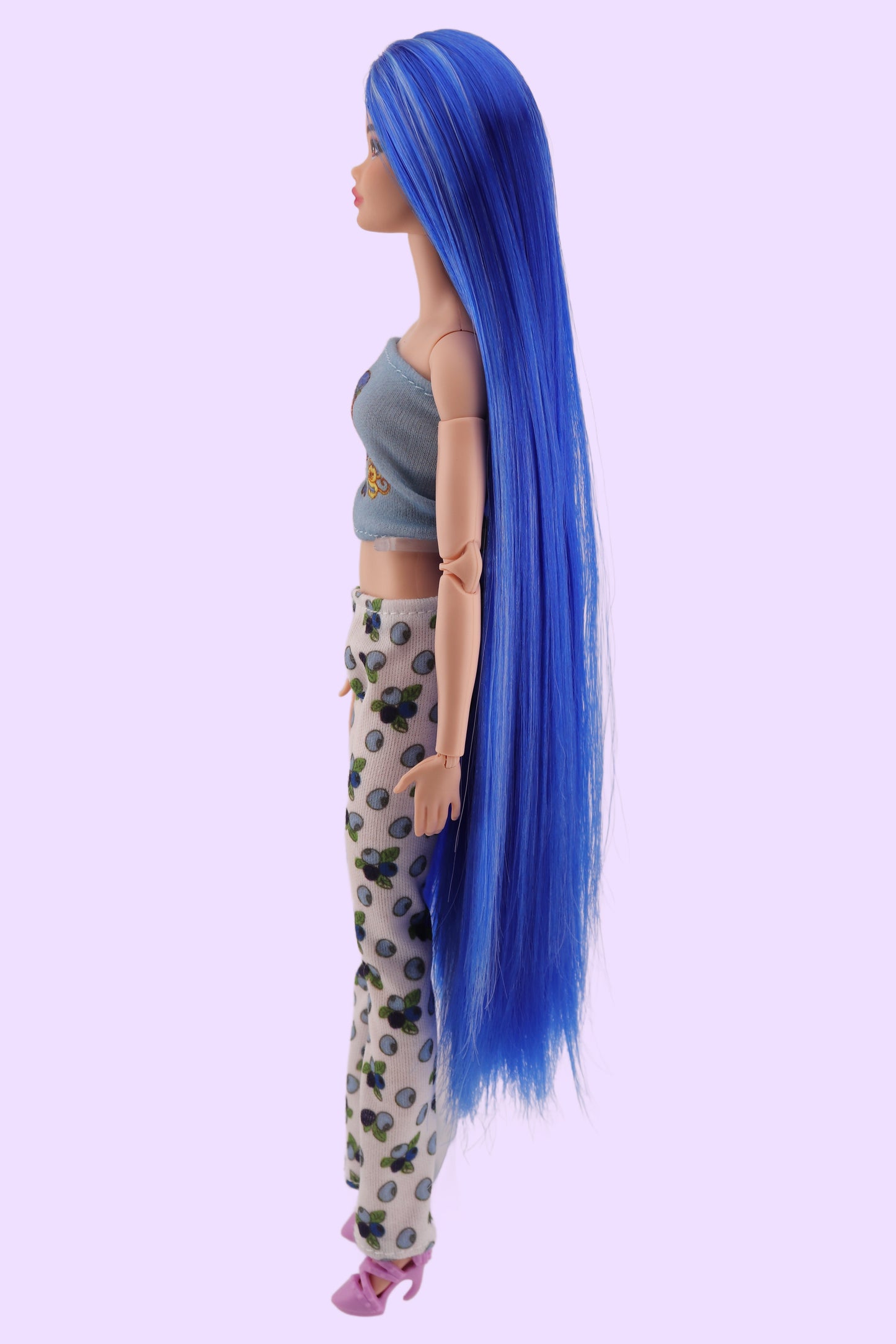 Blueberry Muffin Strawberry Shortcake Custom Barbie