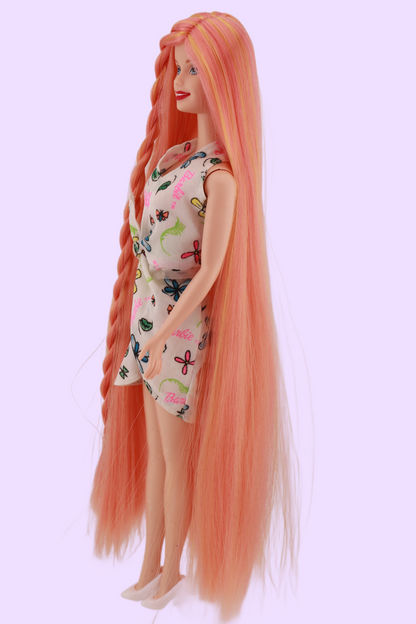 Custom Barbie for EH